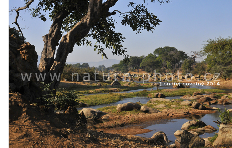 Řeka Ruaha je klíčovým zdrojem vody pro velkou část Tanzánie.