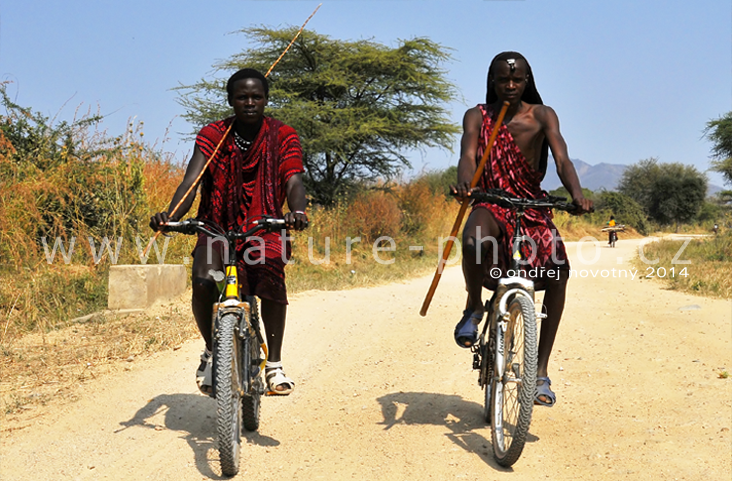 Mladí a hrdí Masajové z Ruahy.